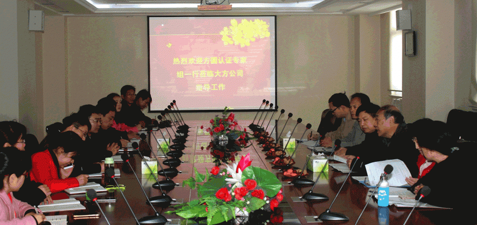 大方集團(tuán)順利通過三體系再認(rèn)證審核